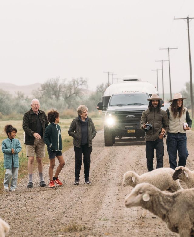 A family and RV on the backroads during a sheep drive
