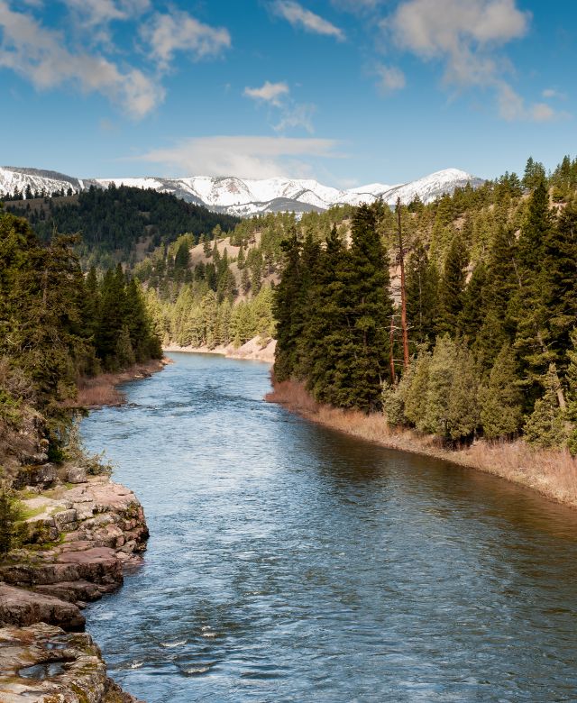 Blackfoot River running through a tree filled valley with snow capped mountains in the background
