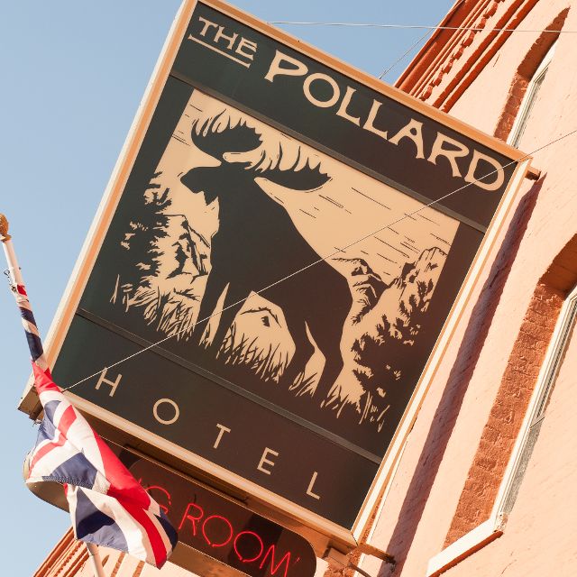 The Pub and the Pollard
