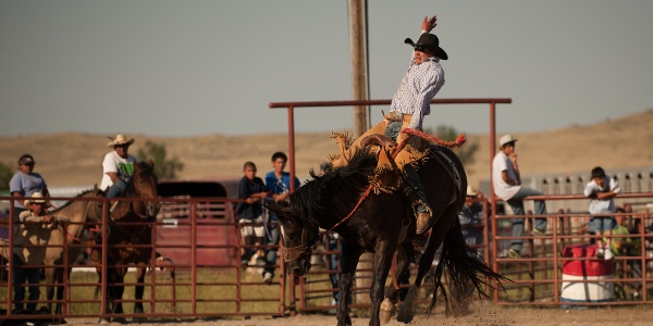 indian country rodeo at Crow Fair