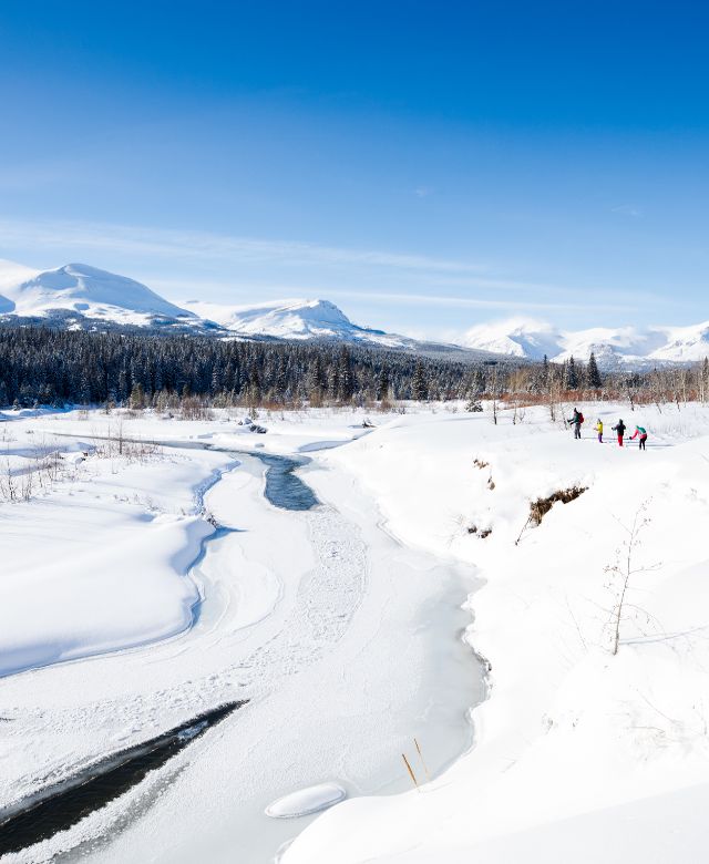 A family of four snowshoeing in Glacier National Park