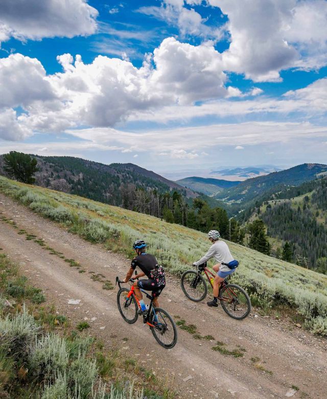 Two bicyclists Mountain biking near Argenta outside of the Beaverhead-Deerlodge National Forest