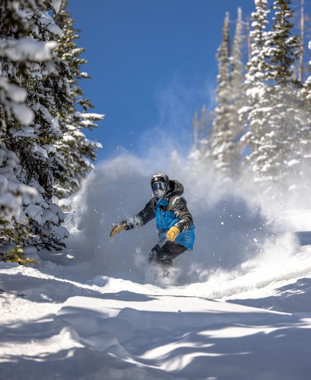 Snowboarder rides through powder trees at Lost Trail Ski Area