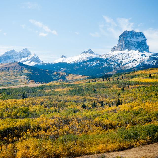 Cheif Mountain, Glacier National Park