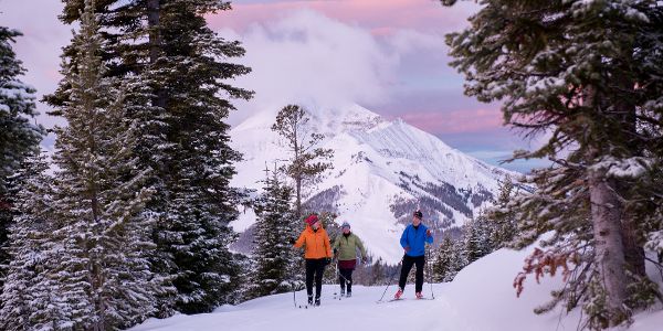 Cross Country Skiing