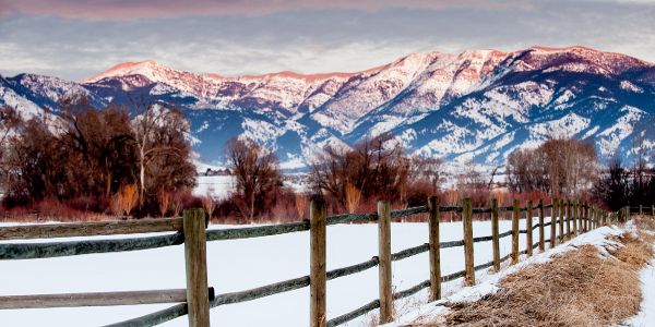 Snowy Pasture and Bridger Mountains