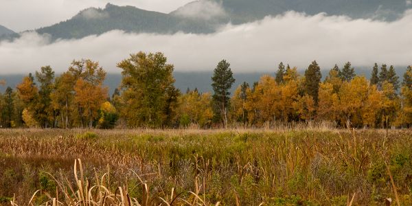 Bitterroot Valley