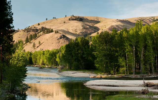 Bitterroot River