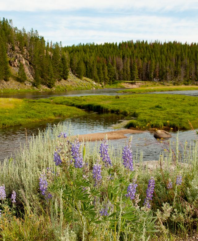 Big Hole River