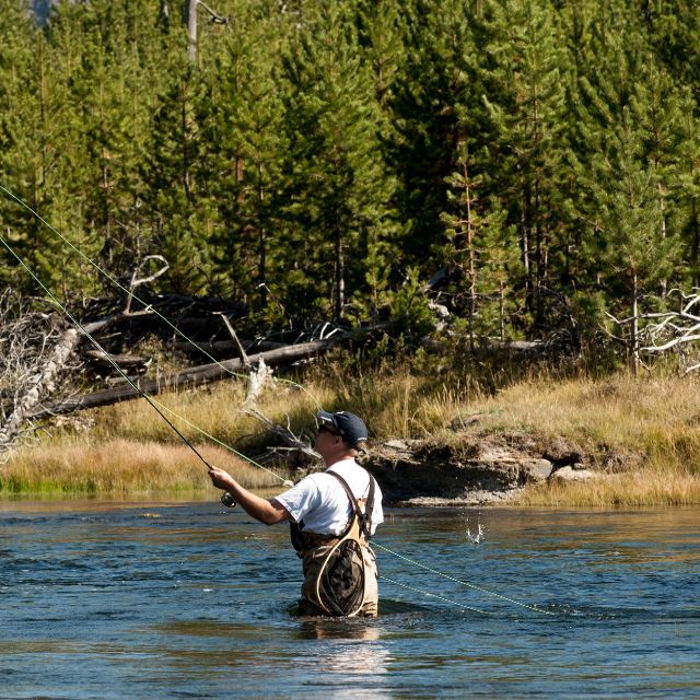 Madison River