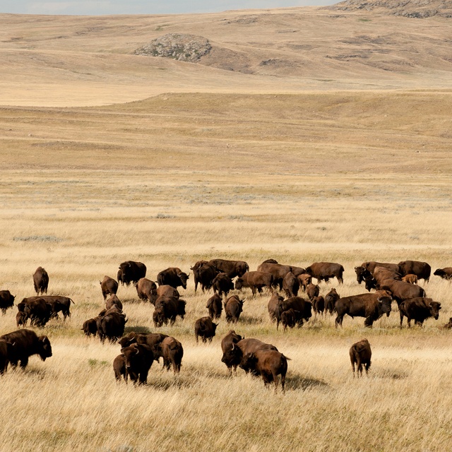 Fort Belknap Indian Reservation