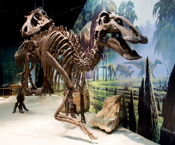 dinosaur in Fort Peck Interpretive Center