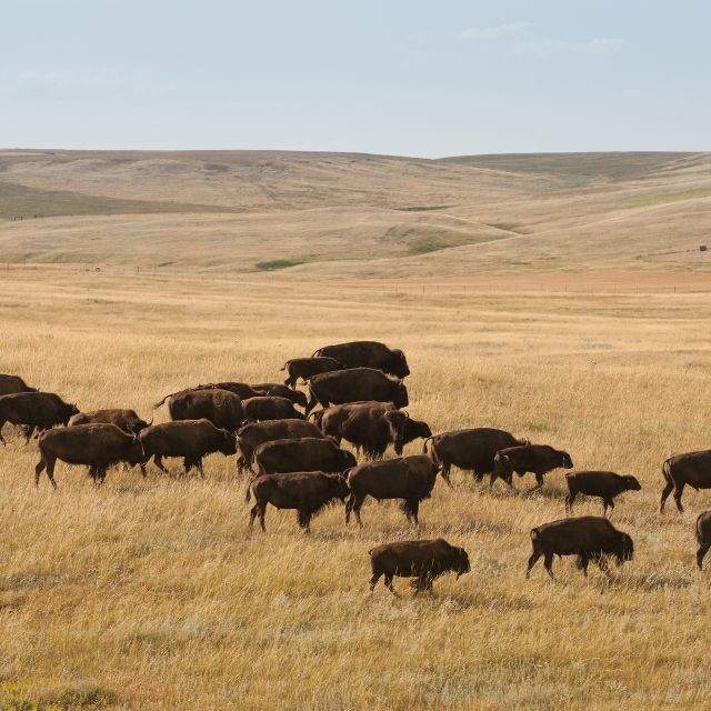 Fort Belknap Indian Reservation