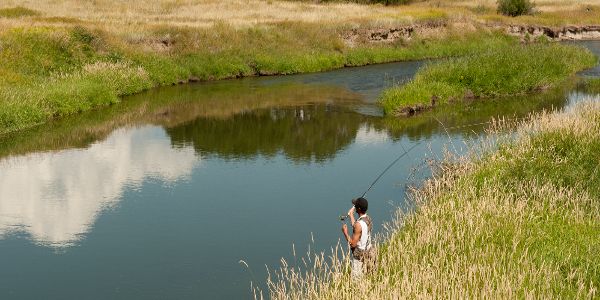 Musselshell River