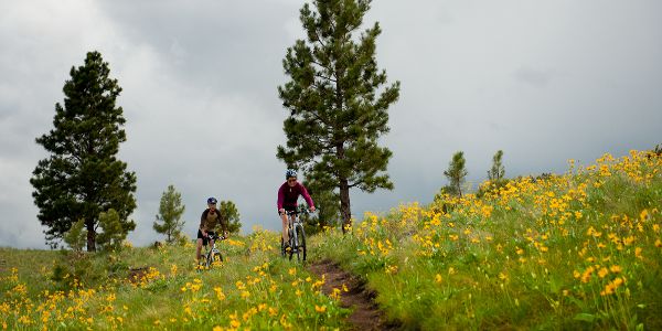 Mount Helena