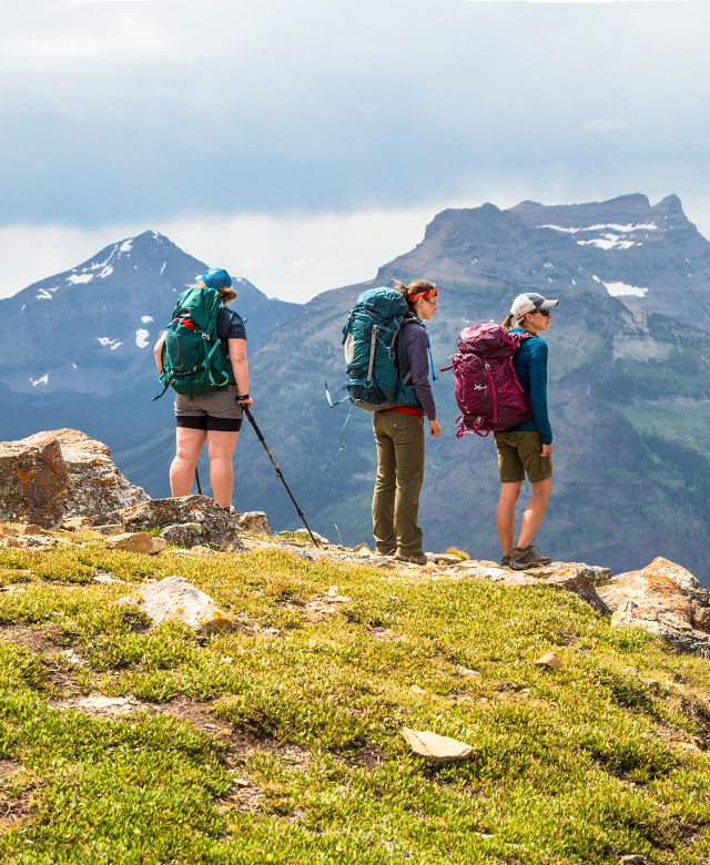 Three hikers overlooking a snow covered mountain vista from Cutbank Pass