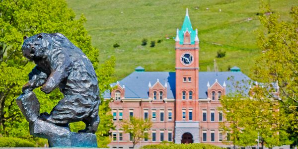 The University of Montana