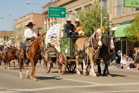 Bucking Horse Sale Parade