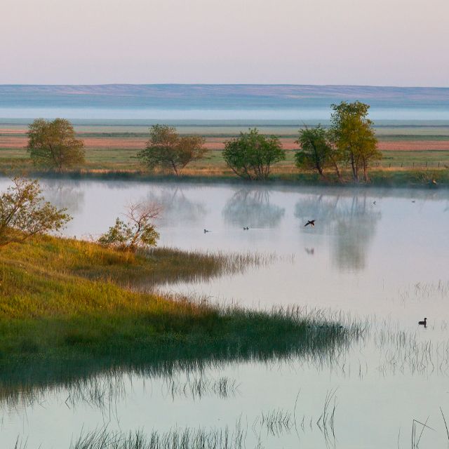 medicine lake