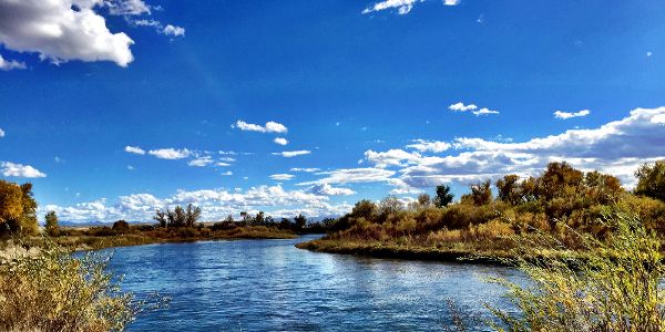 Madison River