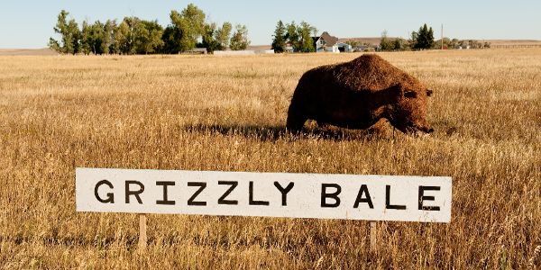 Montana Bale Trail
