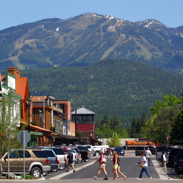 Whitefish