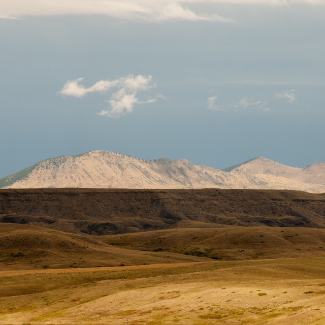 central montana