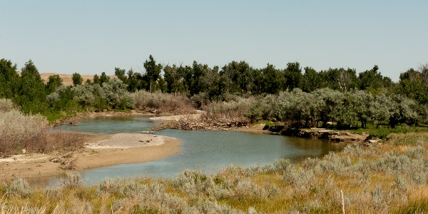 Musselshell River