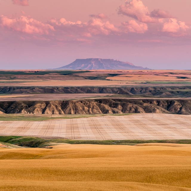 central montana