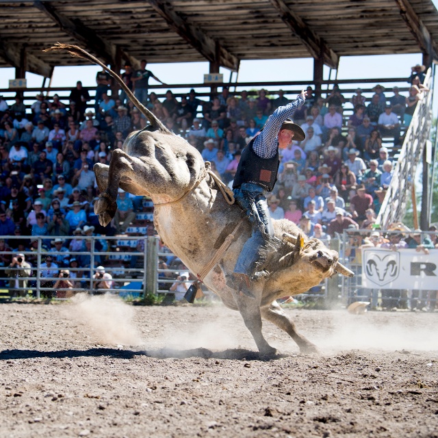 Lincoln Rodeo
