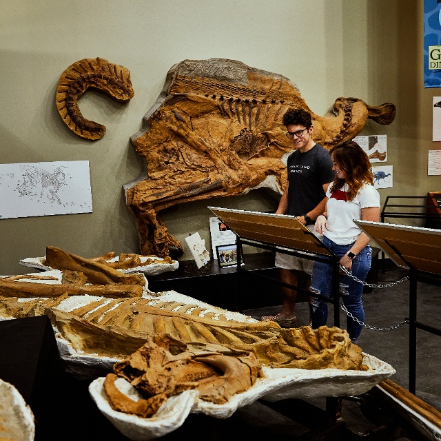 Great Plains Dinosaur Museum