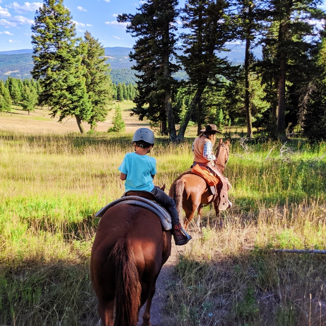 horseback riding