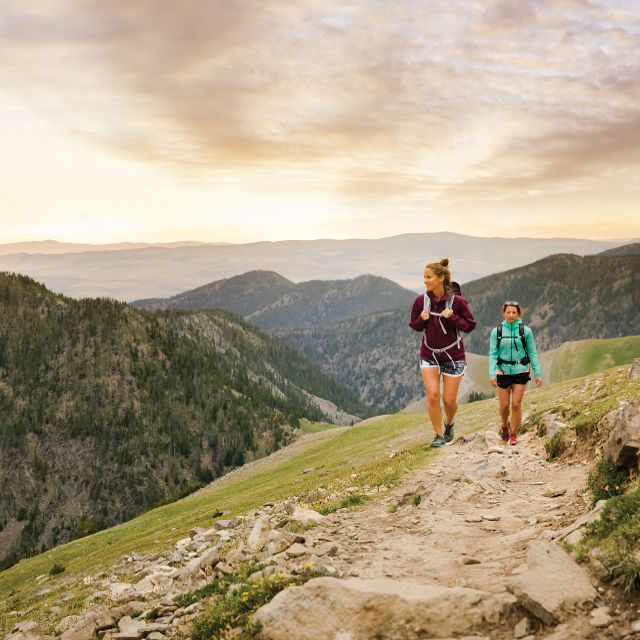 Bridger Mountain