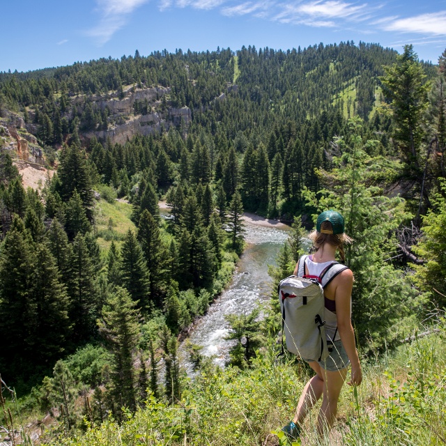 central montana