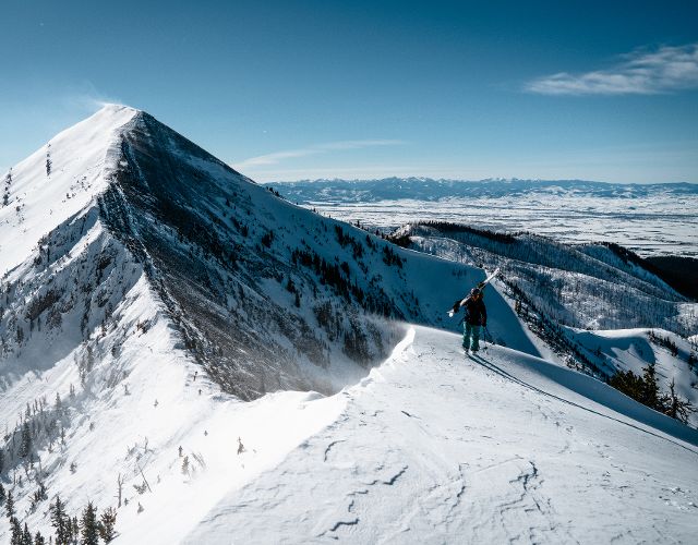 powder skier