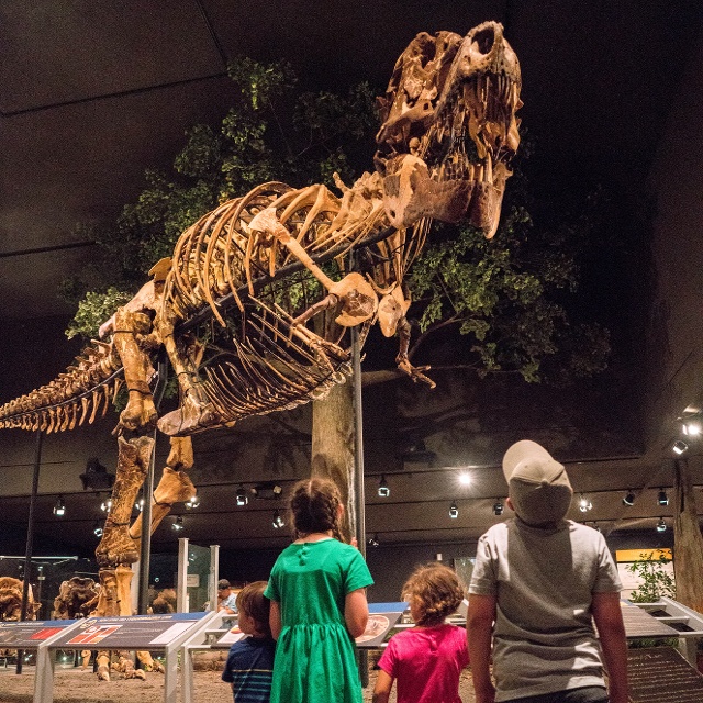 kids looking at a dino museum of the rockies