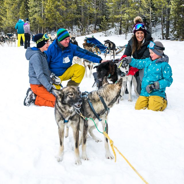 Family dogsledding