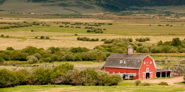 Pioneer Mountains Scenic Byway