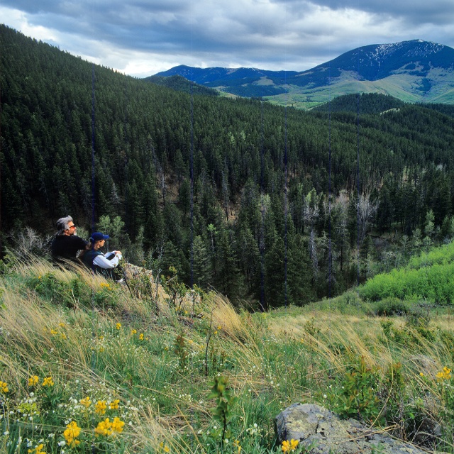 Highwood Hikers