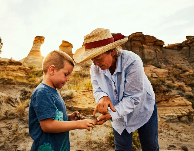 Digging for fossils