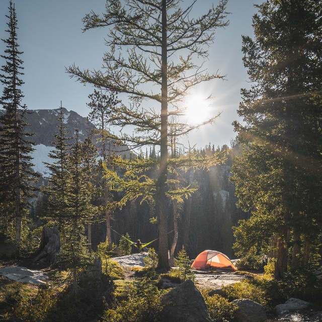 camping in the wilderness