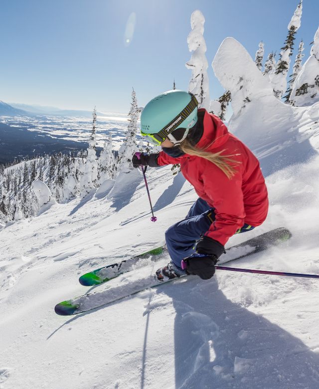 Skier skiing through trees