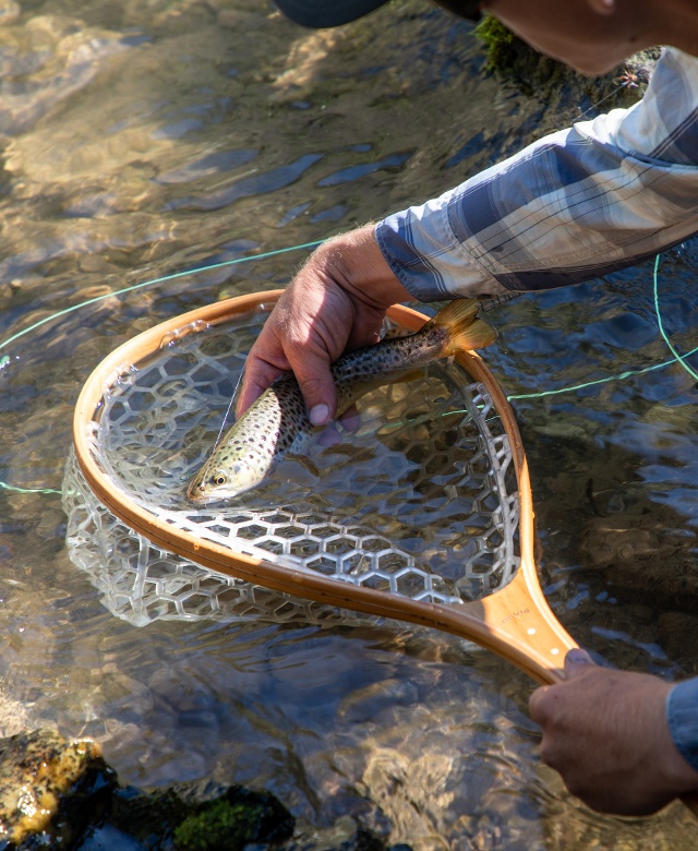 man catching fish in fishing net