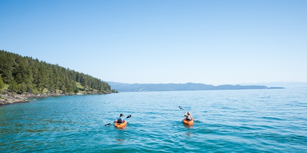Kayakers on Flathead Lake