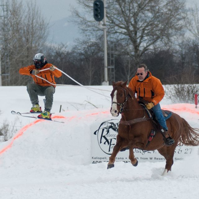 skijoring