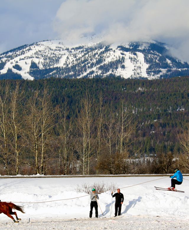 Skijoring