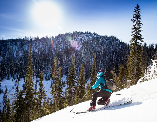 skiing in Glacier Country