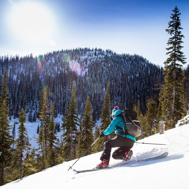 Skier tree skiing