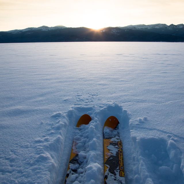 skis in fresh snow