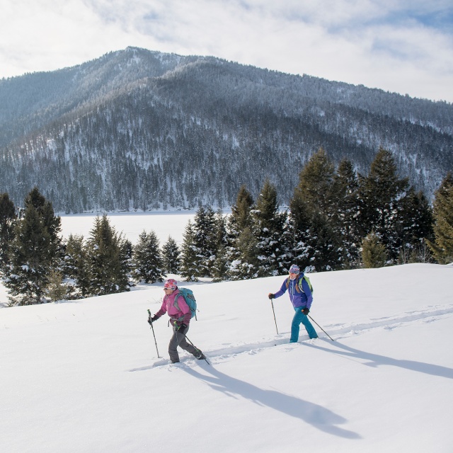 two individuals cross country skiing